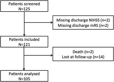 Cognitive Status Predicts Return to Functional Independence After Minor Stroke: A Decision Tree Analysis